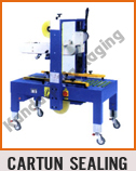 Cartun Sealing Machine